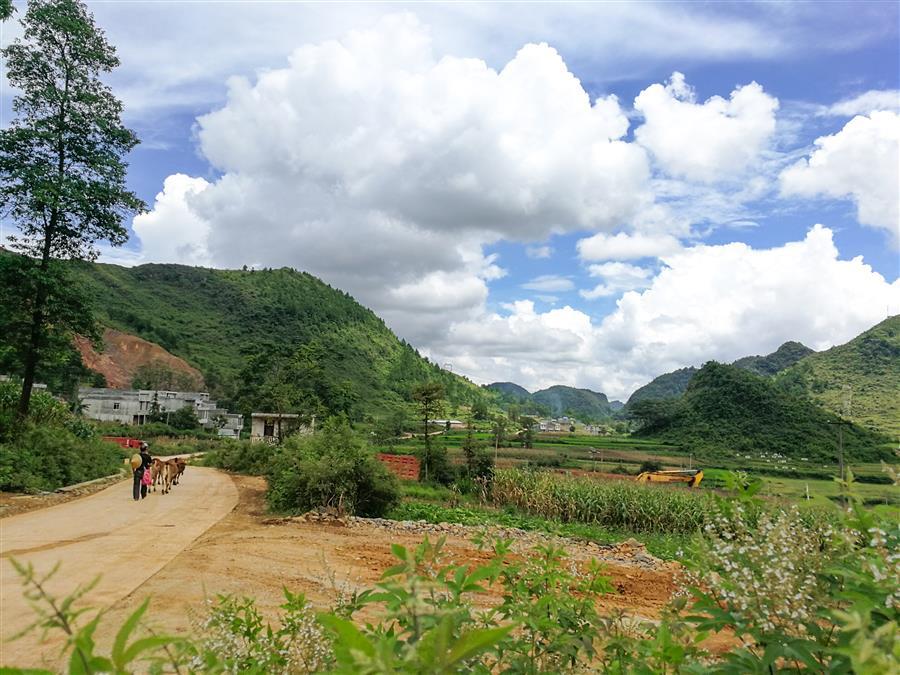 必赢(BWIN·CHINA)官方网站-中文版本