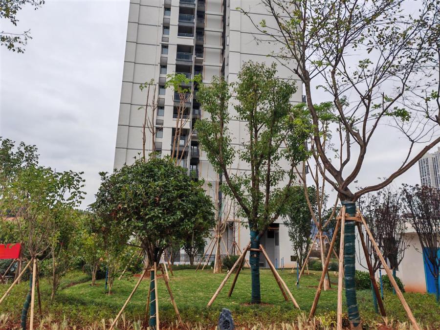 必赢(BWIN·CHINA)官方网站-中文版本