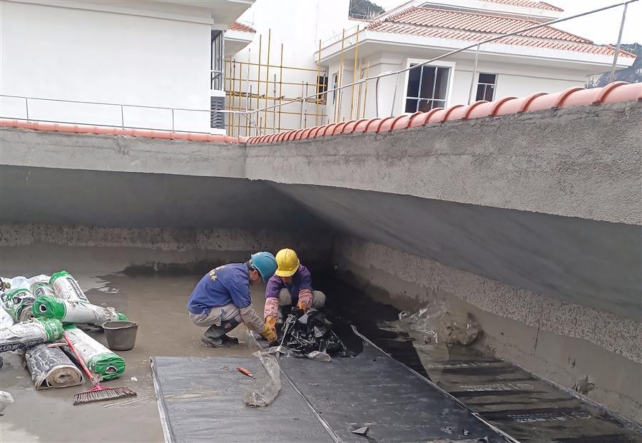 必赢(BWIN·CHINA)官方网站-中文版本