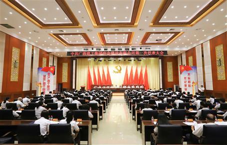 广西必赢冶建第一次党代会胜利召开